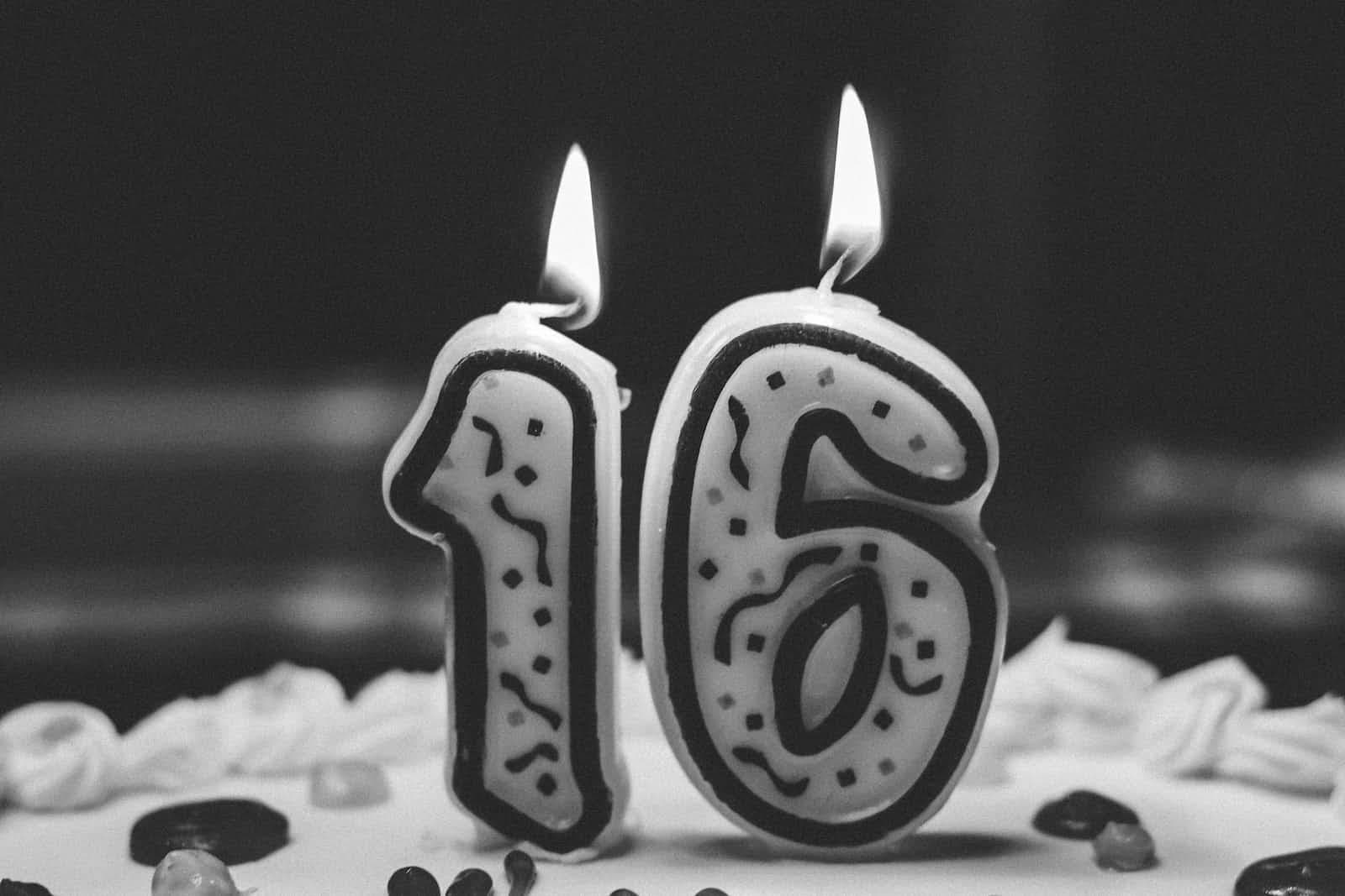 Les nouveautés en Angular 16 (Partie 1)